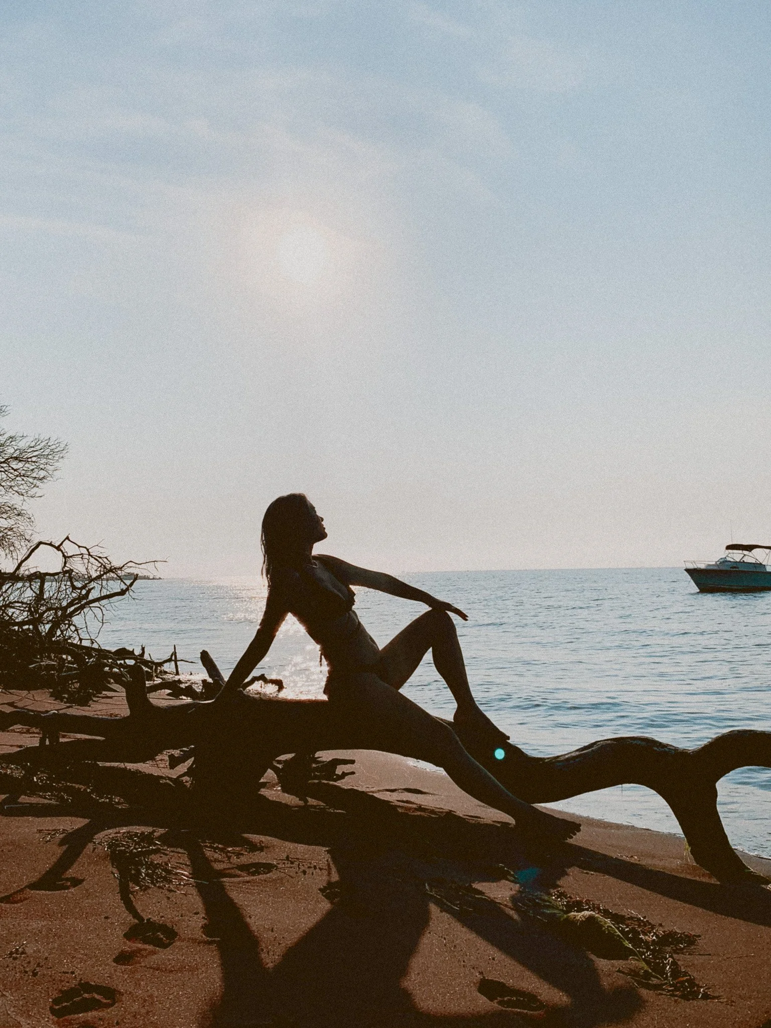 Fire Island Visitors Guide ⋮ EVERLASTYING